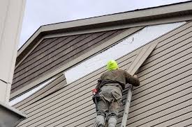 Best Vinyl Siding Installation  in Jasper, TN